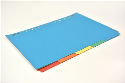 Bright A4 5 Plain Tab Set